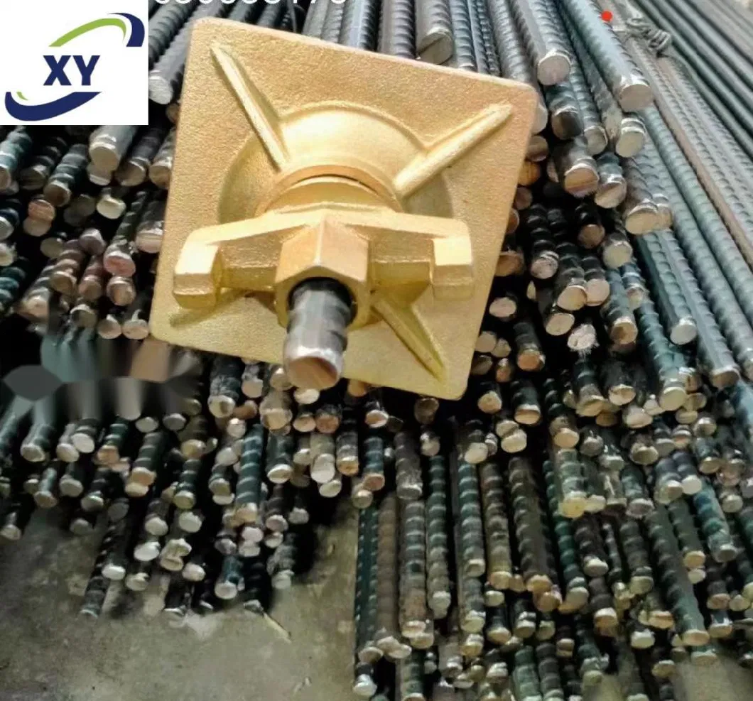 D15/17 Cold Rolled Steel Rebar Steel Coil Rod Threaded Rod and Formwork Tie Rod with Wing Nut